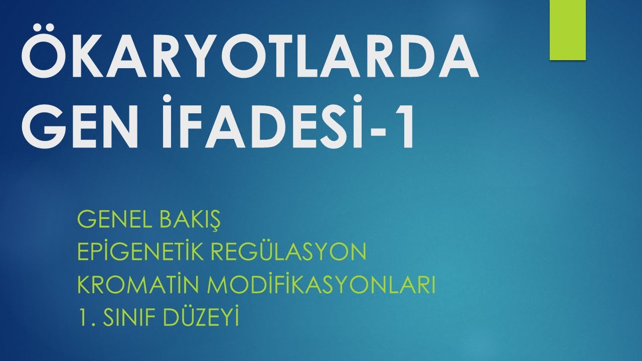 Ökaryotlarda Gen İfadesi-1 TÜRKÇE (1. Sınıf)