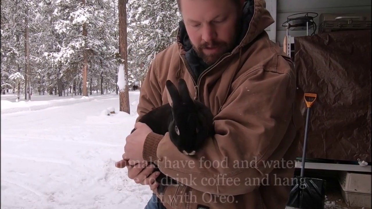 Animals & Chores (winter)