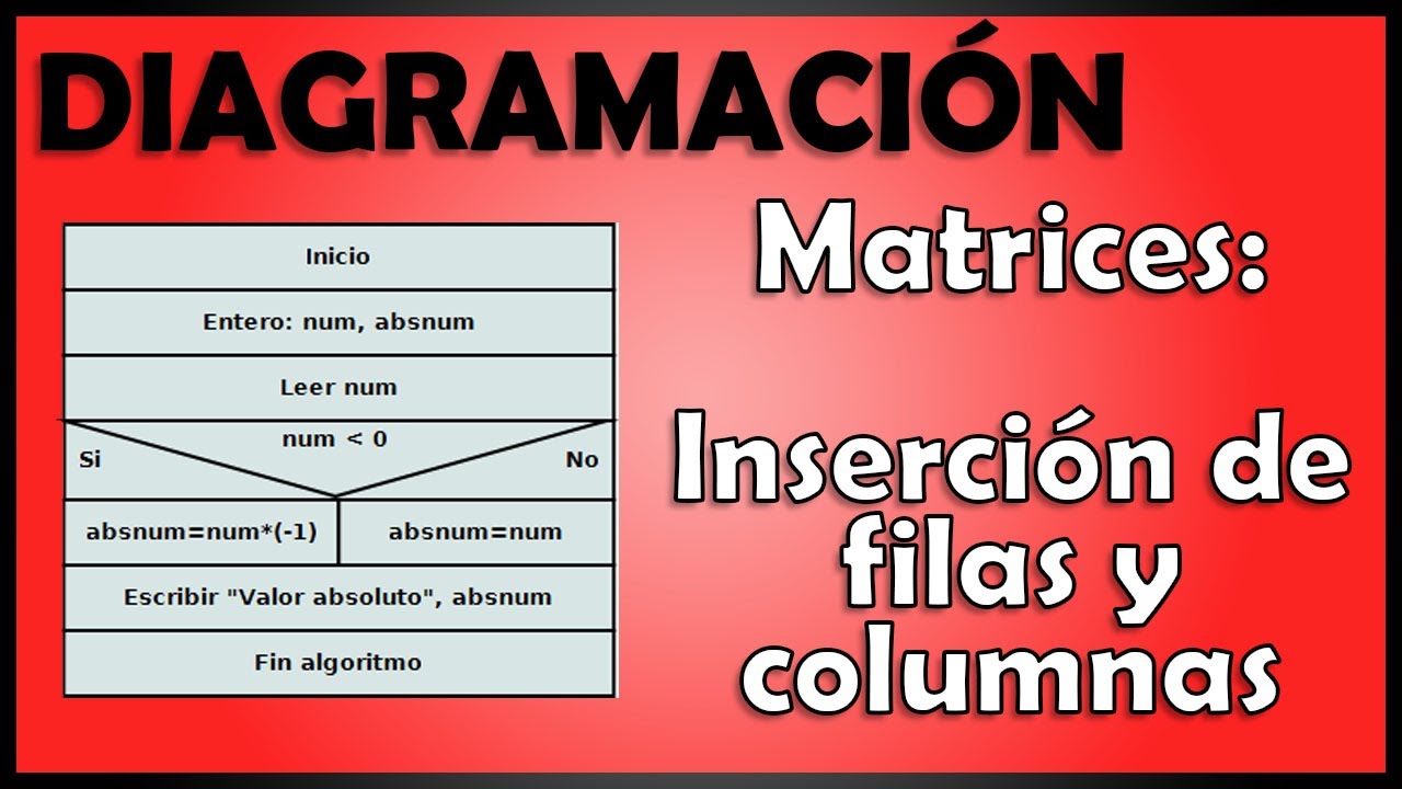 Matrices: Inserción de filas y columnas - Diagramación