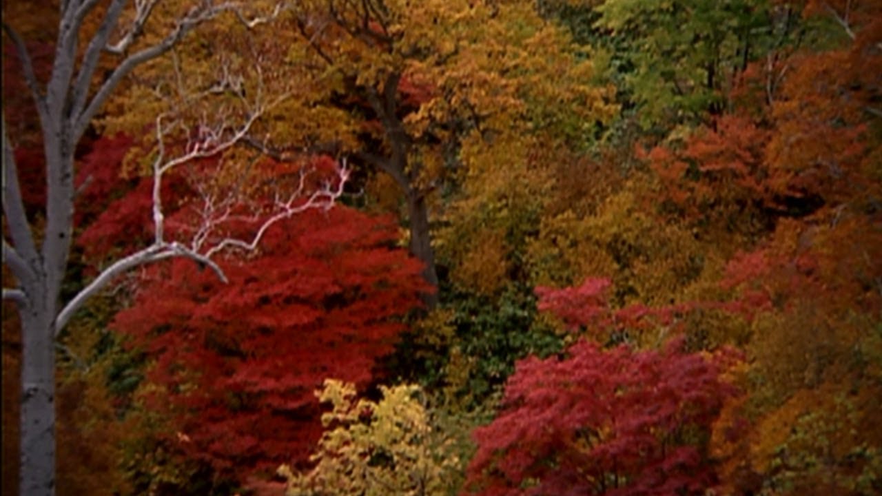 ケツメイシ「花鳥風月」
