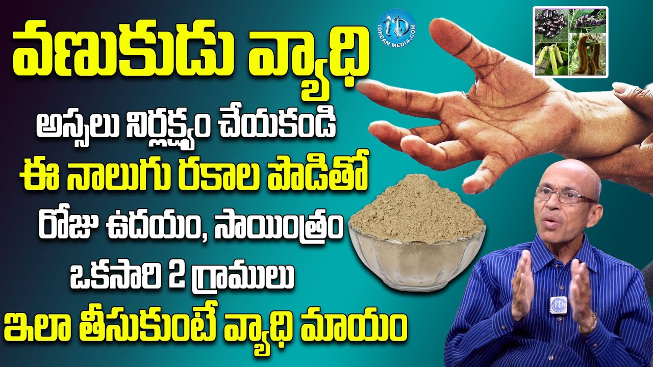 వణుకుడు వ్యాధికి చెక్..| Cure Parkinson's Disease | Treatment Tips | Dr Madhusudhana Sharma | iDream