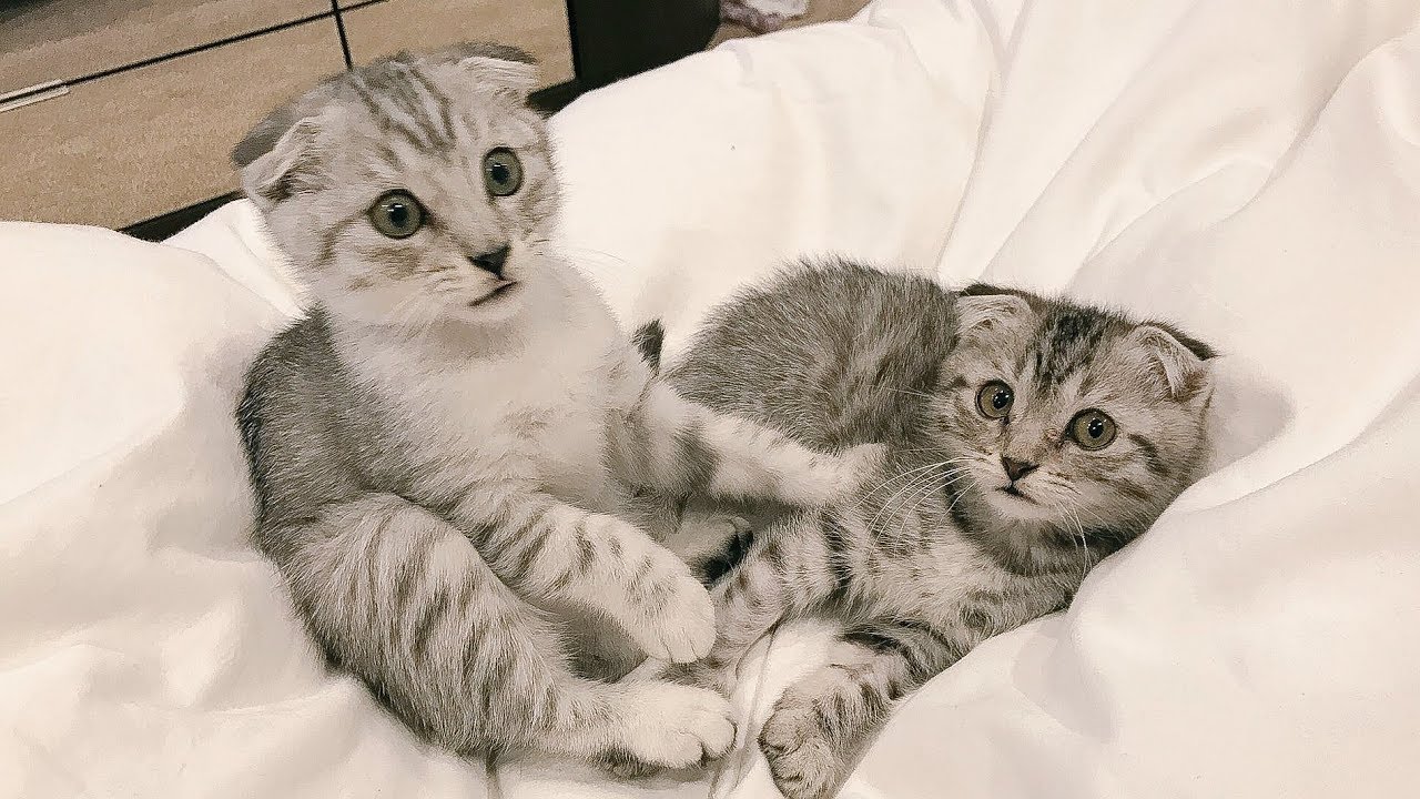 Brother & Sister REUNITED!