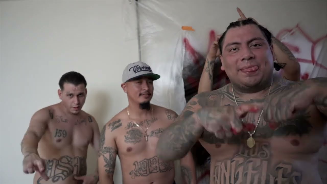 Scyko x WeSSmont SSkeme - 