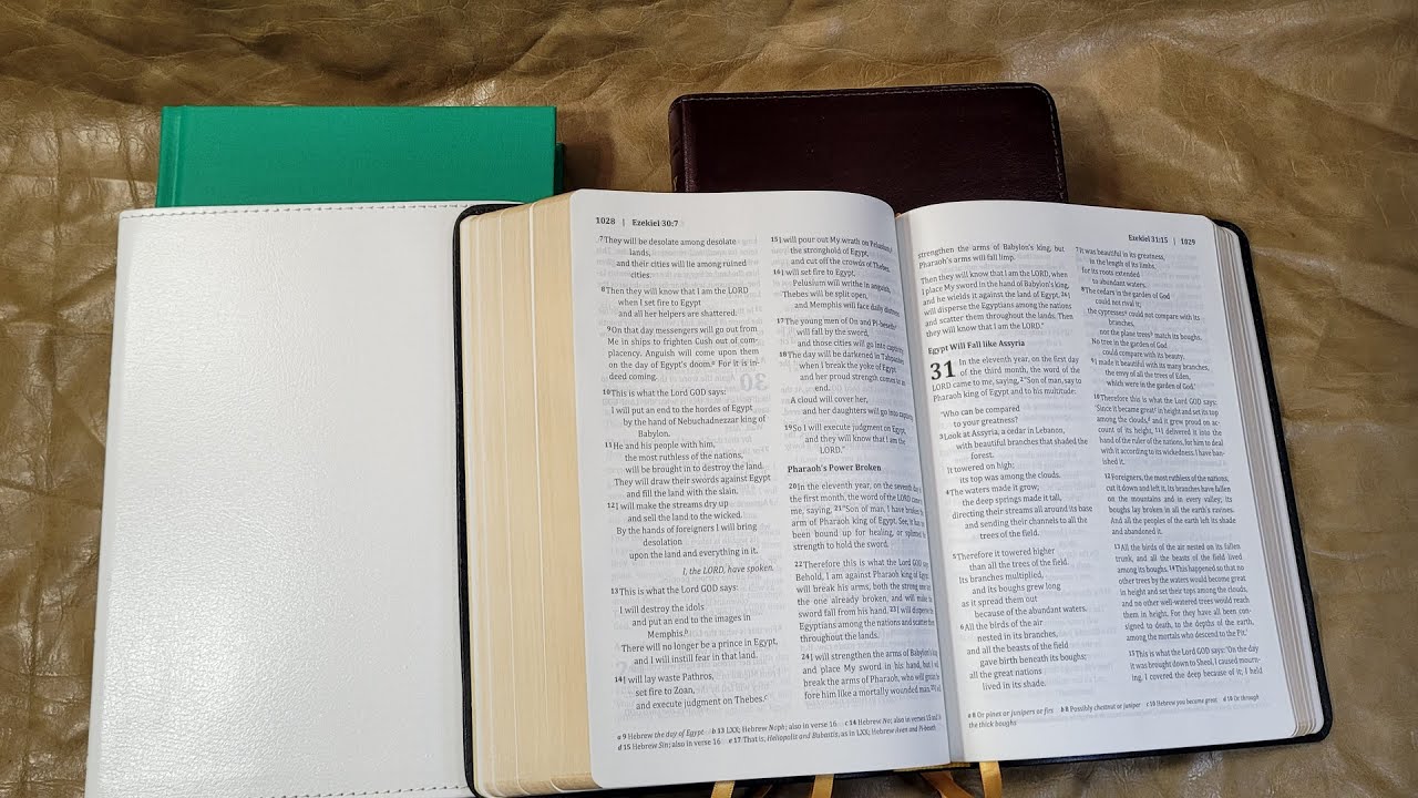 Berean Standard Bible Review
