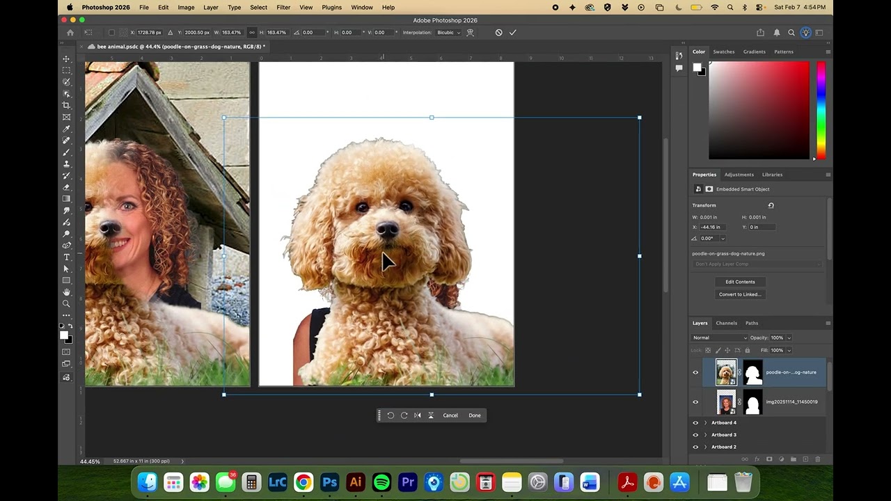 Photoshop Animal and Human Face Merge
