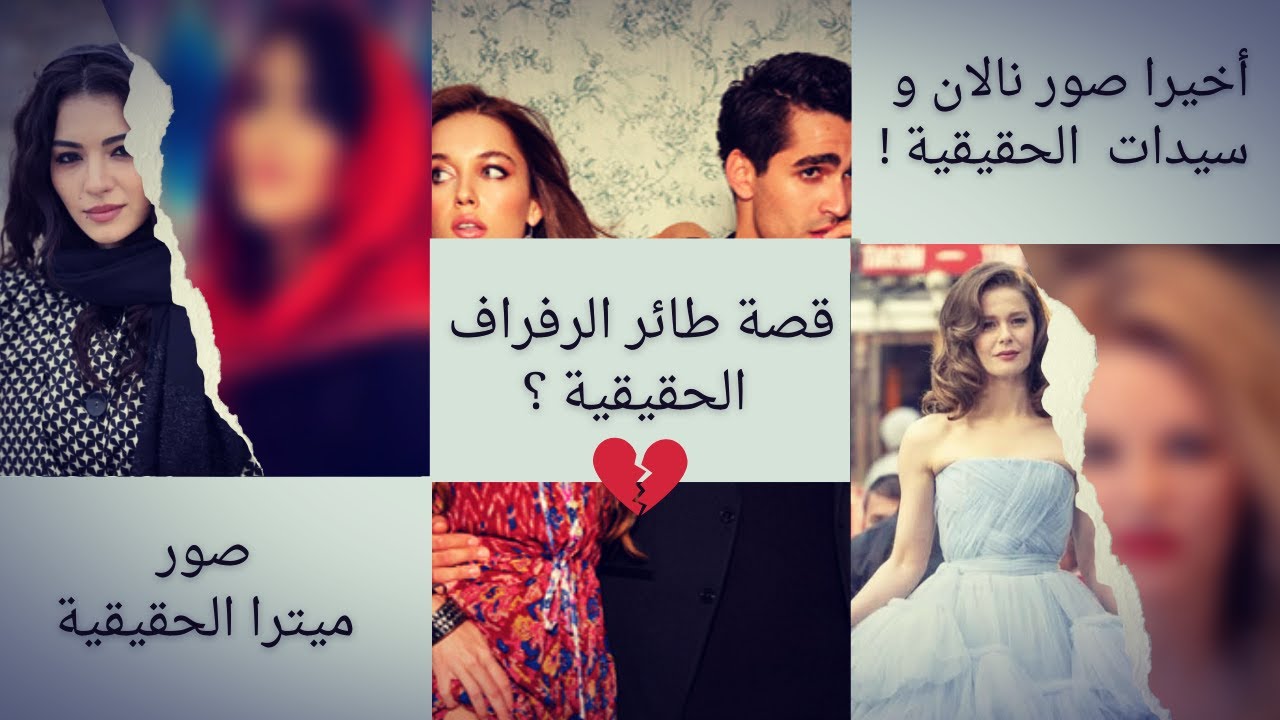 موجز الإثنين ( فتاة النافذة الحقيقية - ميترا الحقيقية - قصة طائر الرفراف الحقيقية )