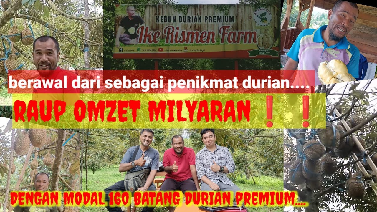 KELILING KEBUN BANG IKE RISMEN// OMZET PER TAHUN HINGGA MILYARAN❗❗|| SULTAN DURIAN PREMIUM DI SUMBAR