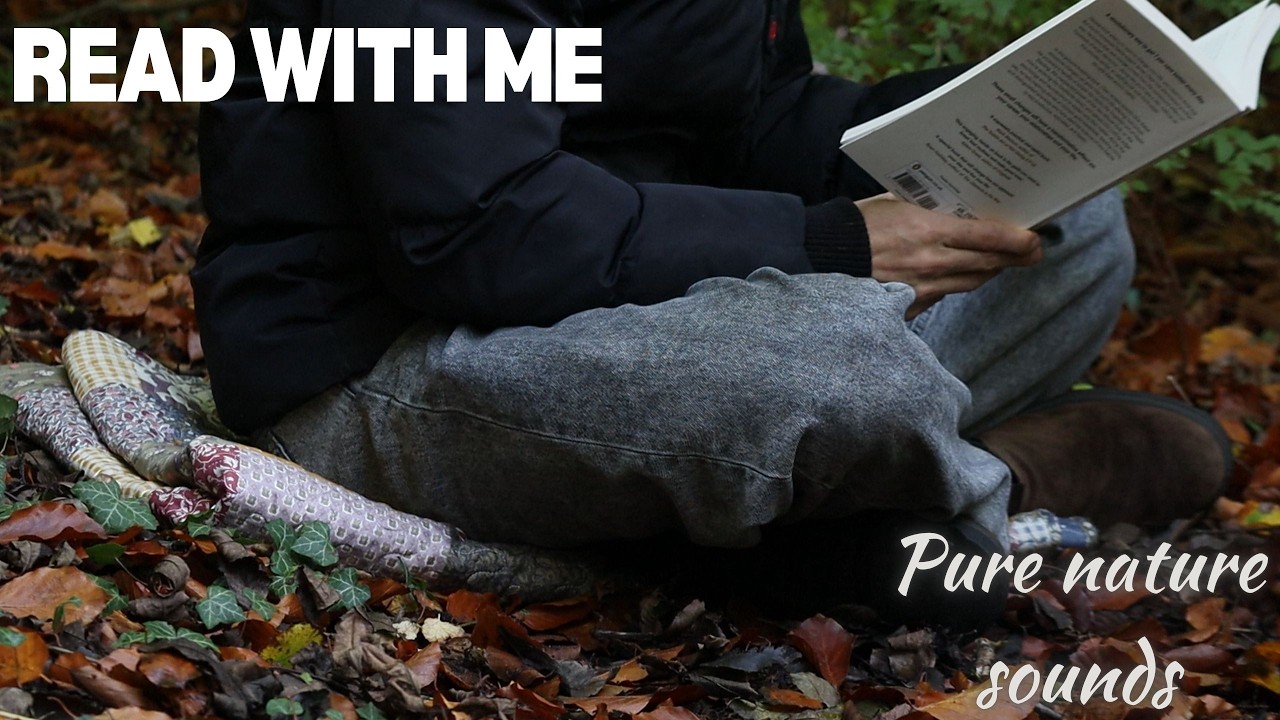 Read With Me Among Autumn Leaves | 30 Minutes Cozy Fall Ambience, Nature Sounds