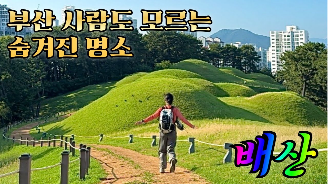배산 등산 l 부산 도심 한복판에서 힐링하는 법 l 초보자도 가뿐한 부산 등산 코스