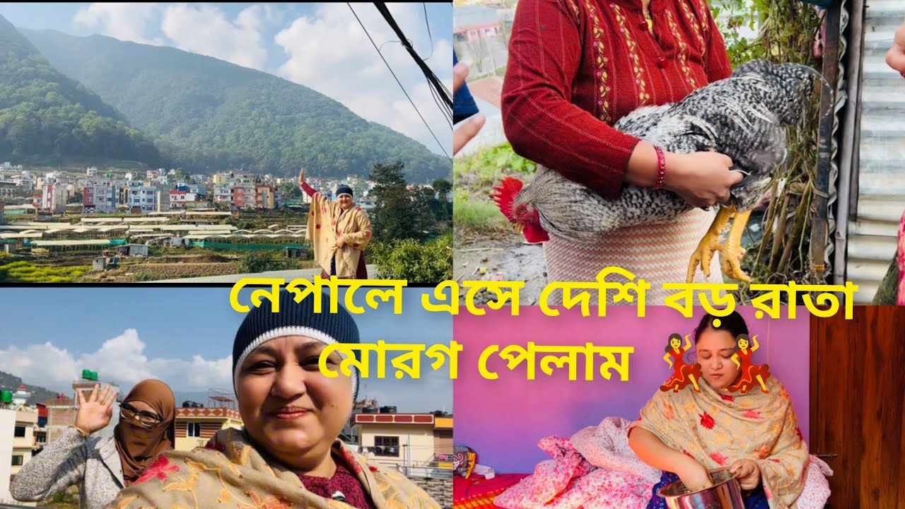 দুই বউ শাশুড়ী নেপালে এসে সংসার পেতে নিলাম/ দেশি রাতা মোরগের সন্দান খুঁজে পেলাম কোথায়/