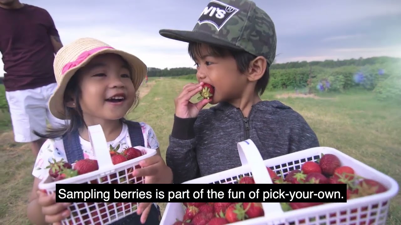 Barrie Hill Farms Ten Tips