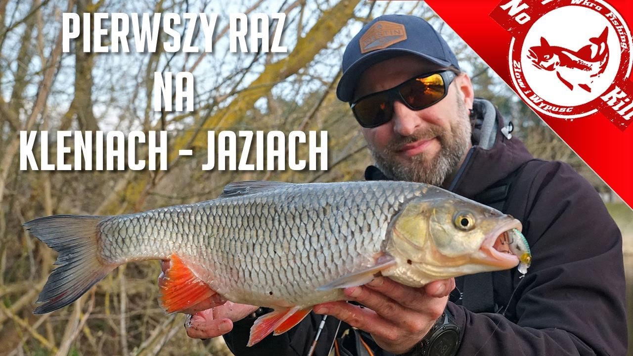 Pierwszy raz na Kleniach  I Jaziach  - jak  się przygotować?