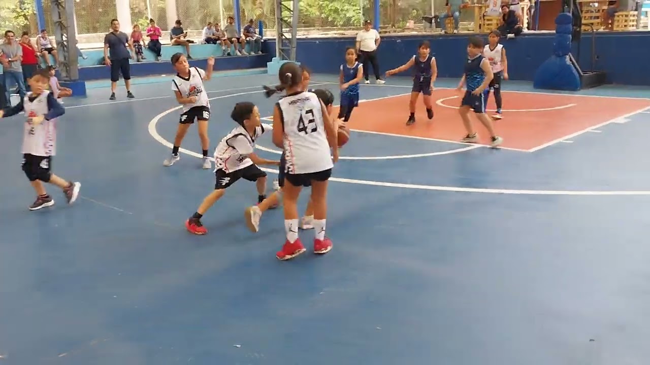 Campeonato Onorato Haro U8 mixto Floresta Team vs SDG 2do Cuarto. 