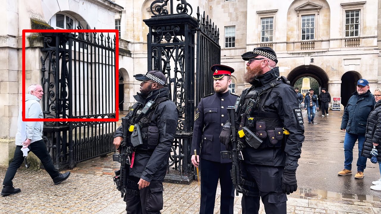 This is WHY YOU Don't Mess with these Officers at Horse Guards Parade