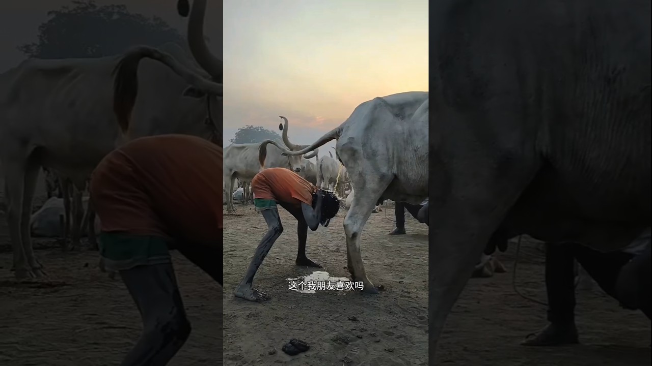 Cultural Challenges in the Mundari Community