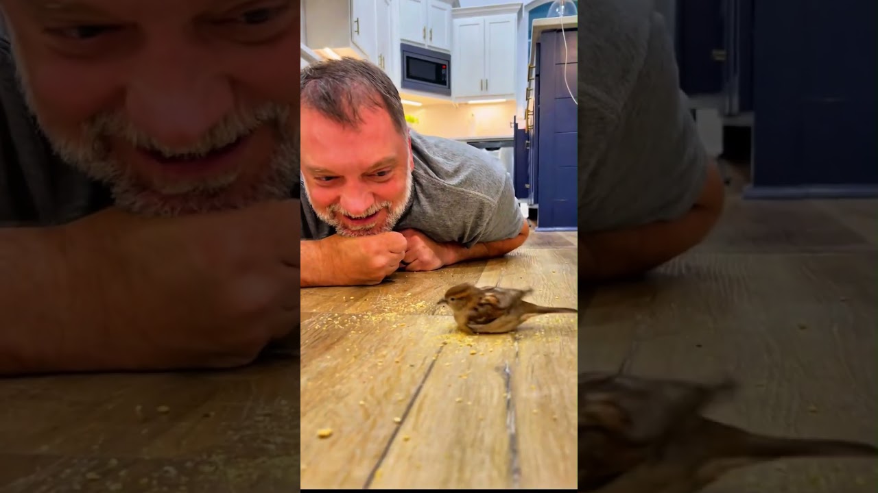 Miracles of Kindness... #animals #wildliferescue #rescue #cute #love #lovestory