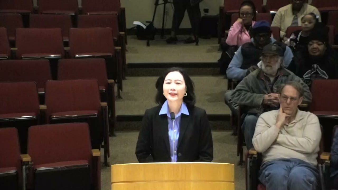 Decatur, IL City Council Meeting - February 17, 2026