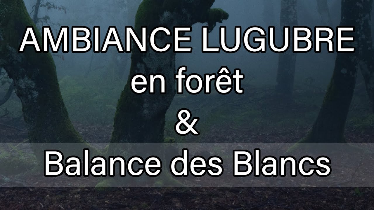 Ambiance Lugubre en Forêt, Choix de la Balance des Blancs.
