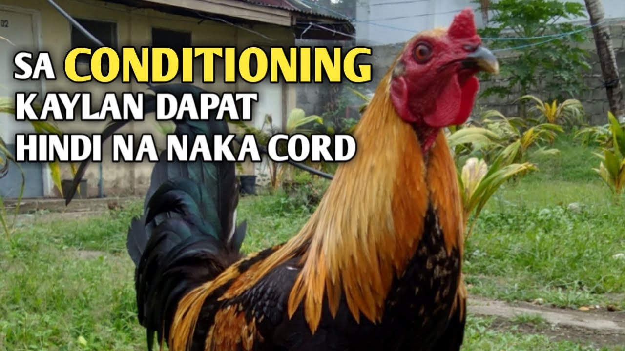 SAAN DAPAT NAKALAGAY KAPAG CONDITIONING PROCESS