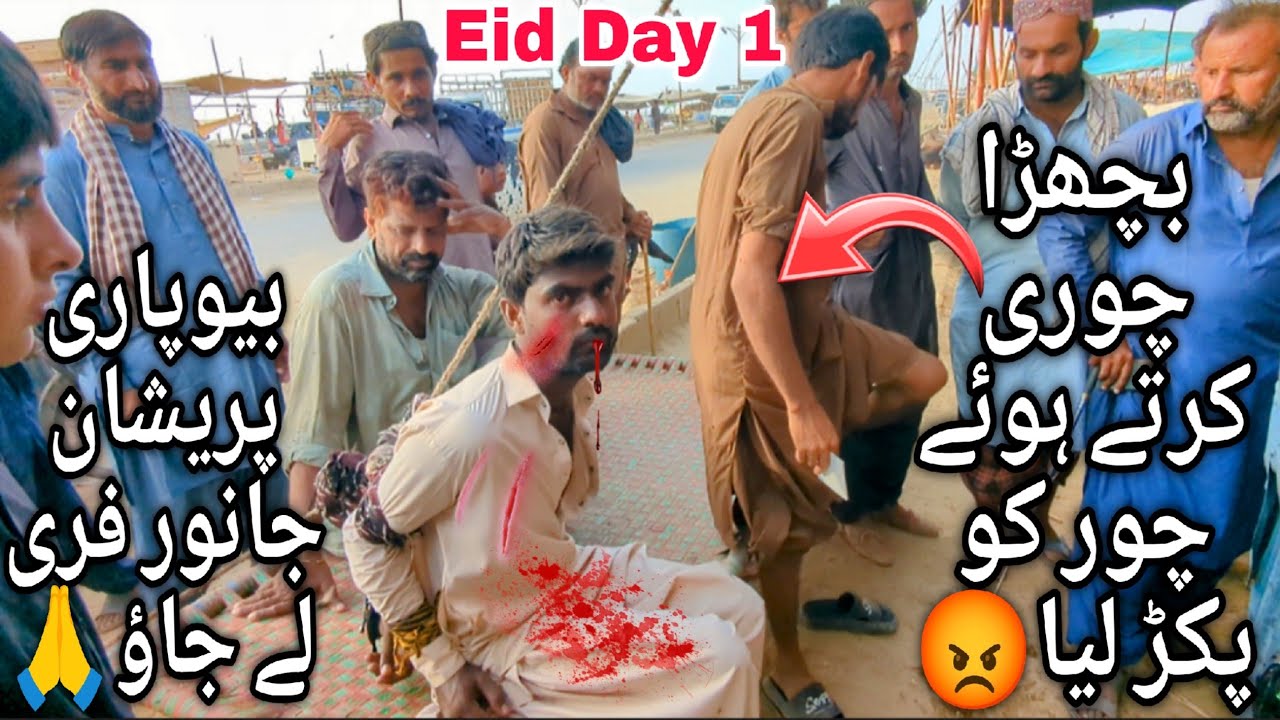 Eid Day 1 At Northern Bypass Mandi Latest Update || Mandi Mai Chor Pakrliya 😱 || Cow Mandi 2025