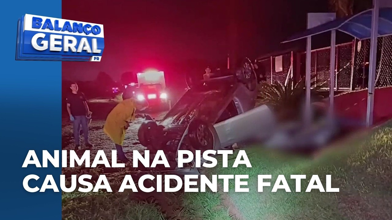 Motorista capota o carro após atropelar capivara, no PR; homem morreu e adolescente ficou ferido