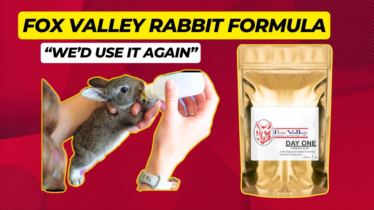 Fox Valley Rabbit Formula - Feeding Baby Rabbits