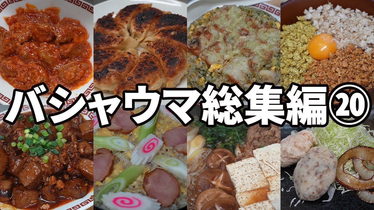 バシャウマ自炊日記総集編⑳