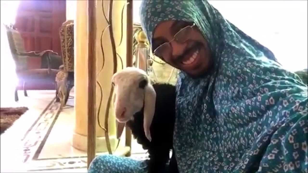 سناب شات محمد سال والامهات اللي يتابعونه