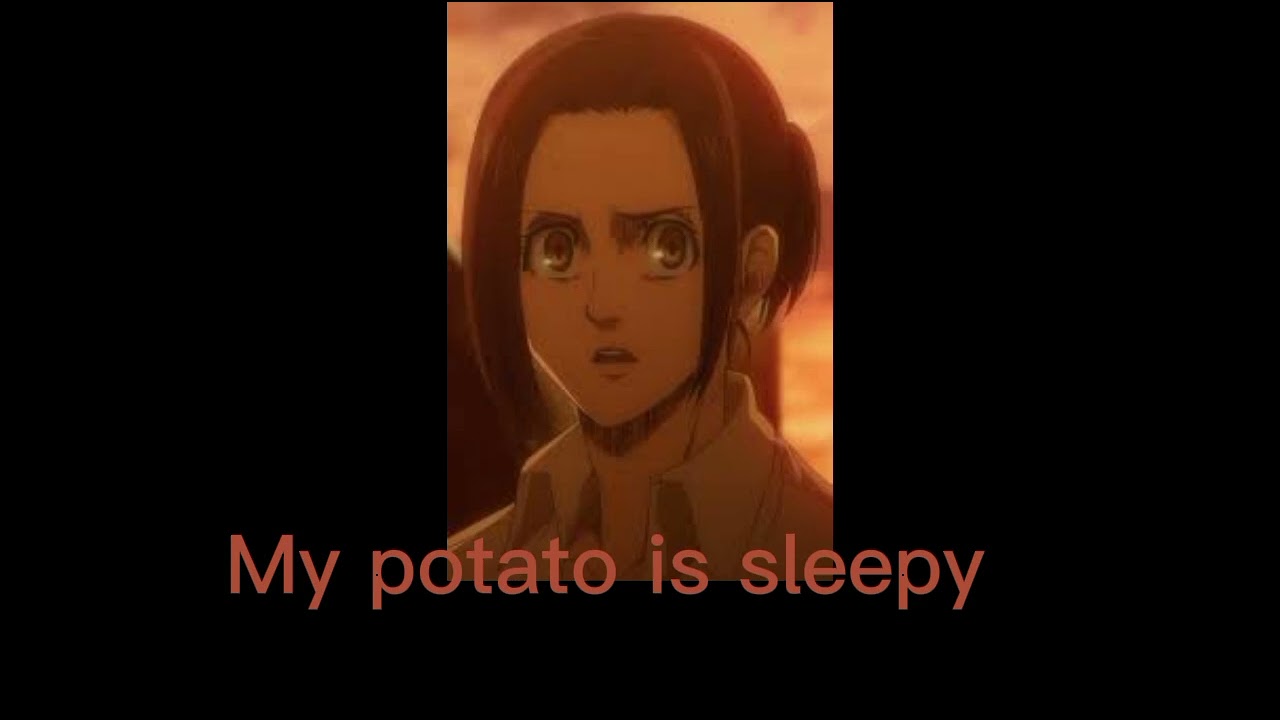 {my potato} Season 4! Sasha Blouse x Season 4 Titan! listener( ft:Connie Springer, Jean Kirschtein