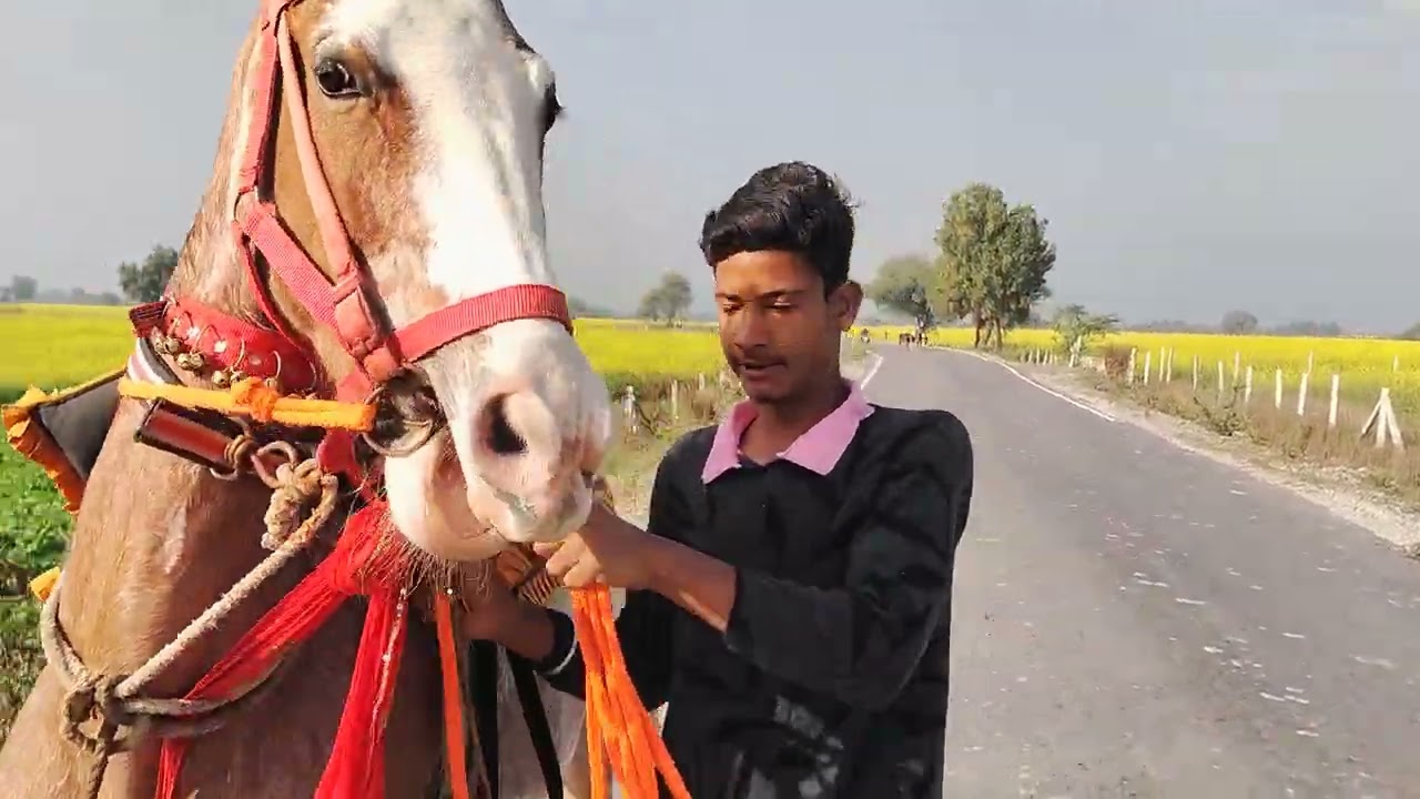 29 दिसंबर 2025