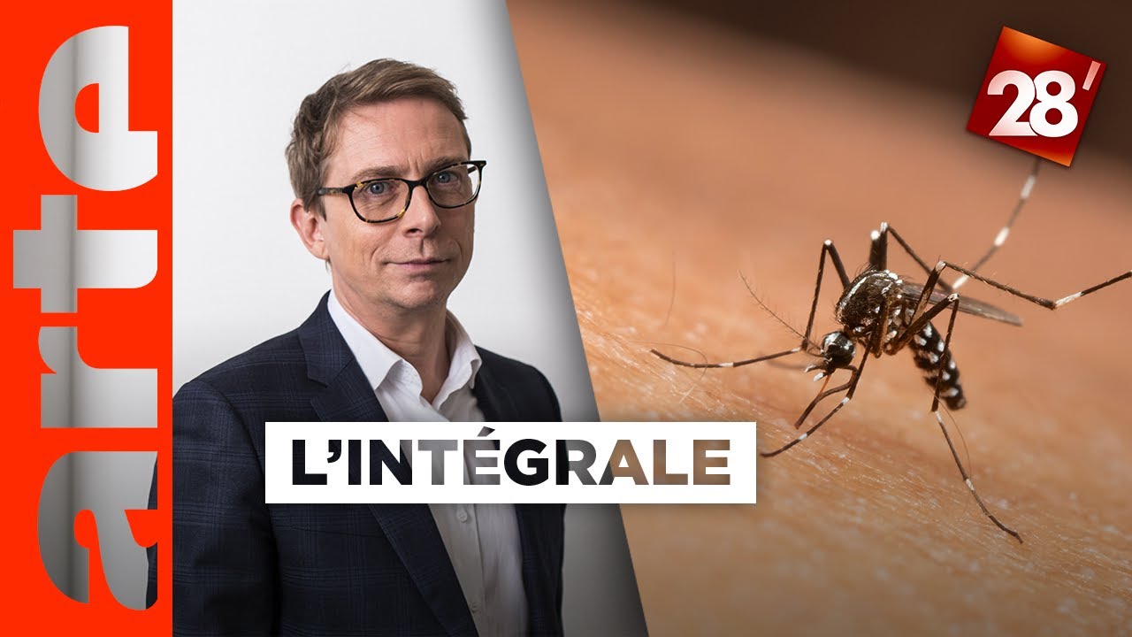 Gérald Bronner / Moustiques : la France doit-elle leur déclarer la guerre ? | 28 minutes | ARTE