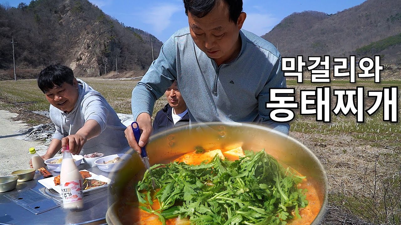 일한뒤에 먹는 얼큰한동태찌개에 시원한 막걸리 한사발  [Korean fish stew with sake Mukbang]
