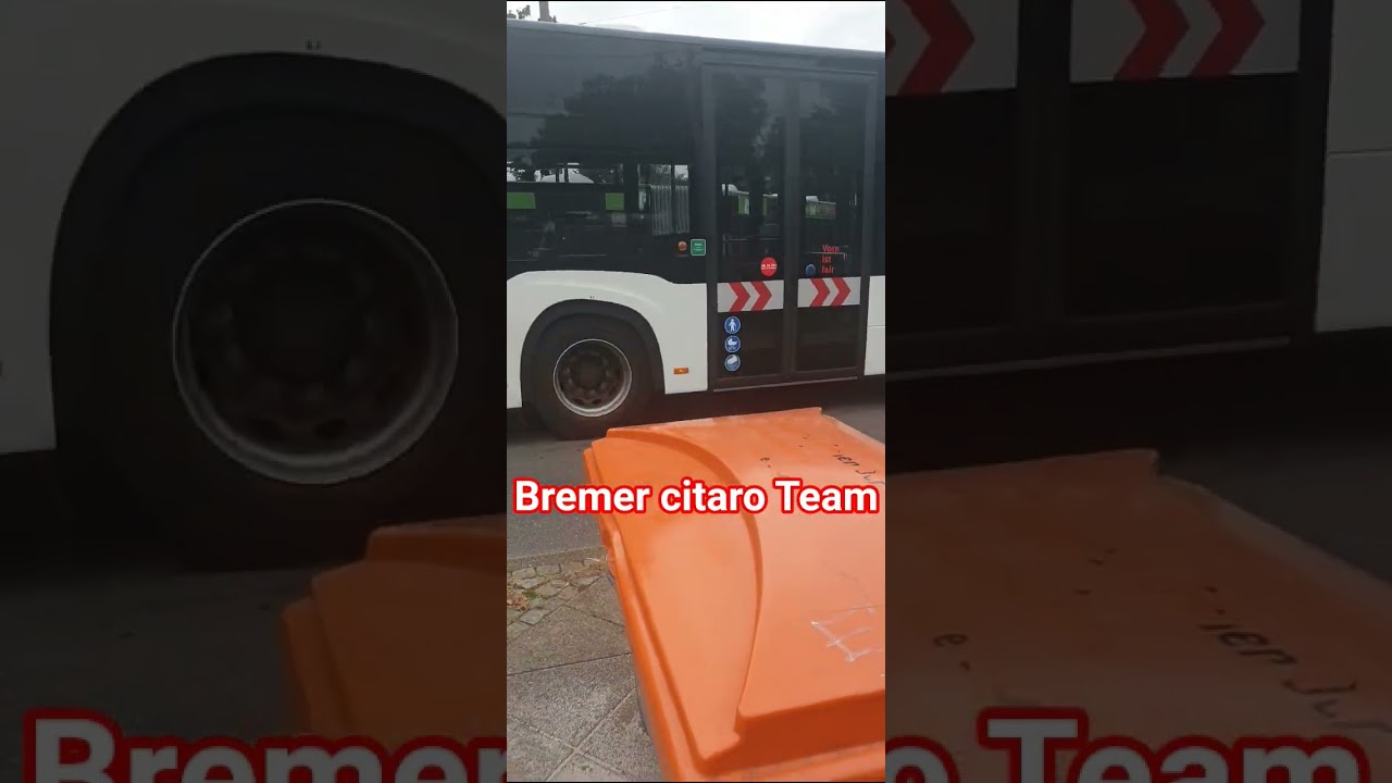 Team BSAG 