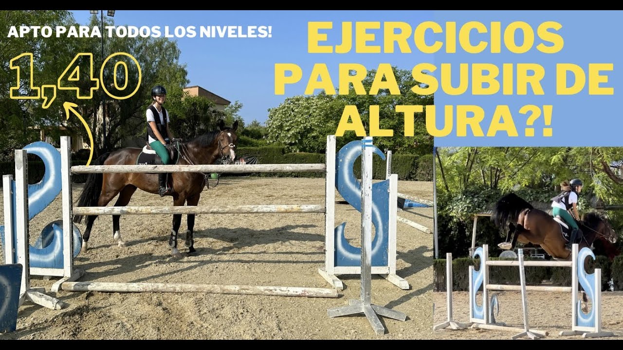 Ejercicios para subir de altura - Salto 140cm!! - Apto para todos los niveles