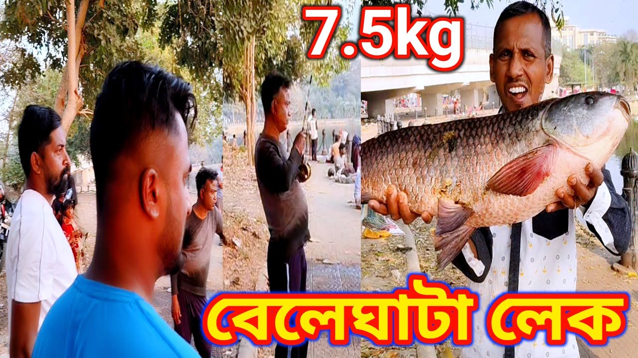 বেলেঘাটা লেক মানেই চমক! আজ উঠল ৭.৫ কেজির দানব মাছ | Ujjwal Fishing video