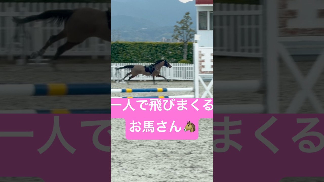 【大爆走】障害馬術 #bloopers #fail #horse #equestrianfail #equestrianjourney