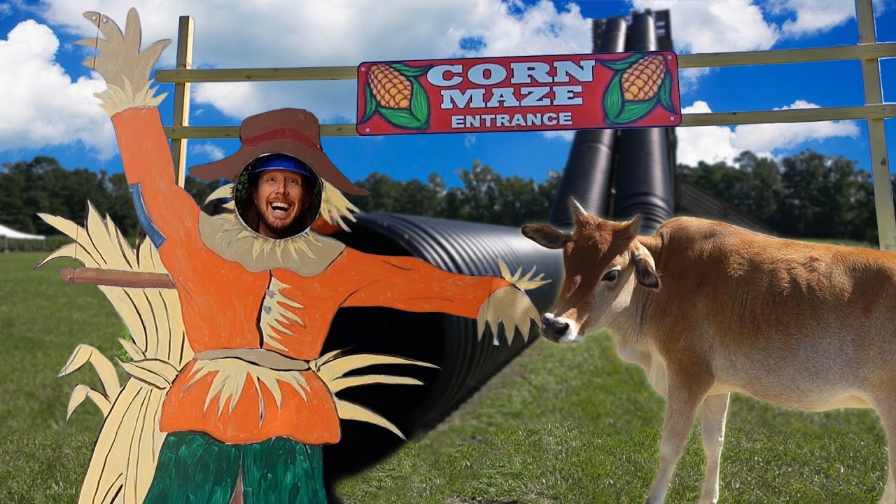Fun on the Farm with Handyman Hal | Corn Harvest, Apple Picking, and Farm Animals for Kids