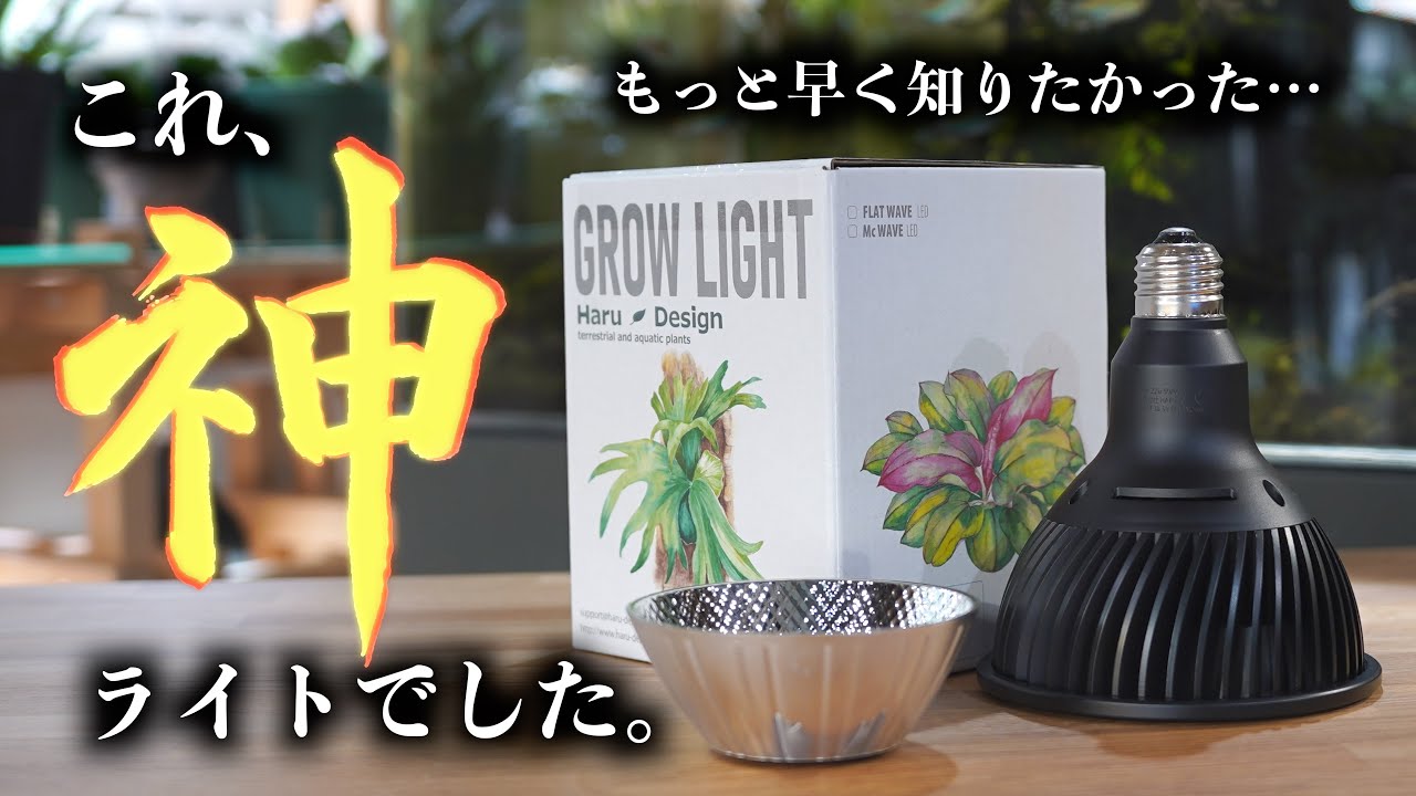 【神コスパ】あのライトがヤバイ改良をされていた…