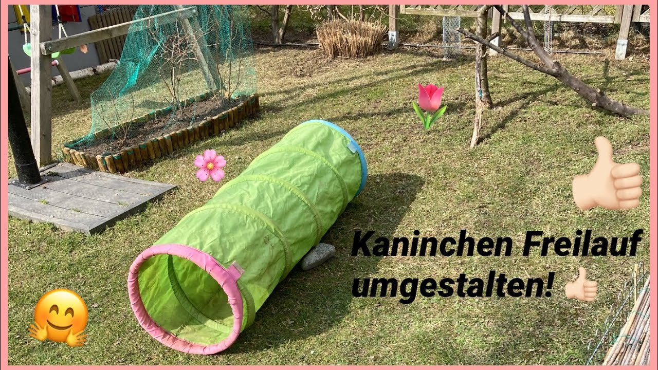 Kaninchengehege Umgestalten ! Kaninchen Freilauf herrichten für den Frühling 🌸🌷😊👍🏻 I Lenatur