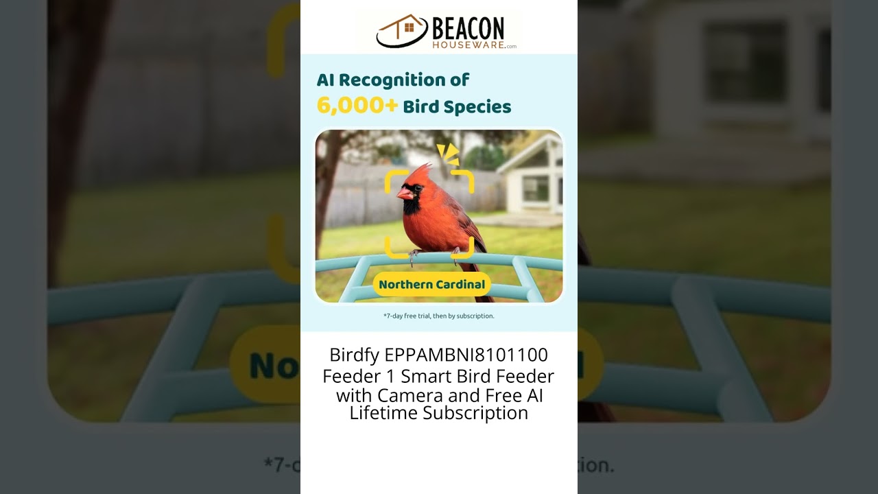 Birdfy EPPAMBNI8101100 Feeder 1 Smart Bird Feeder with Camera and Free AI Lifetime Subscription