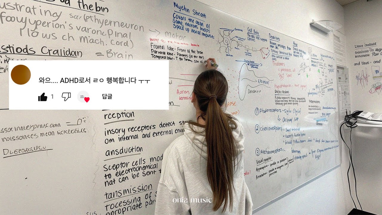 𝑷𝒍𝒂𝒚𝒍𝒊𝒔𝒕 (가사X) 미친 집중력 모드 ON⚡ADHD도 공부하게 만드는 음악들 🎧