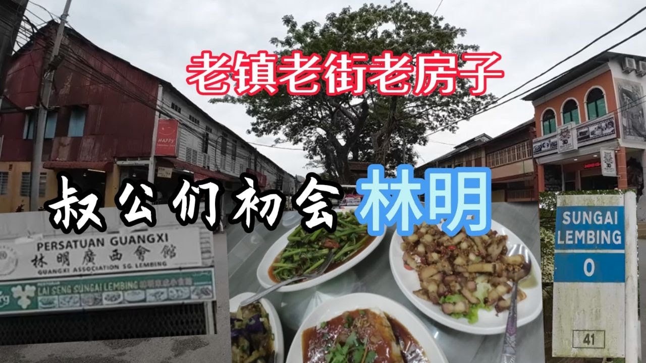 林明(2) - 兴楼 -丰盛港 -任罗宏 - 哥打丁宜 - 古来 - 新山  / #随心游 / 夜宿山顶 / 乡村里的的法妞  / The East Coast Malaysia By Car