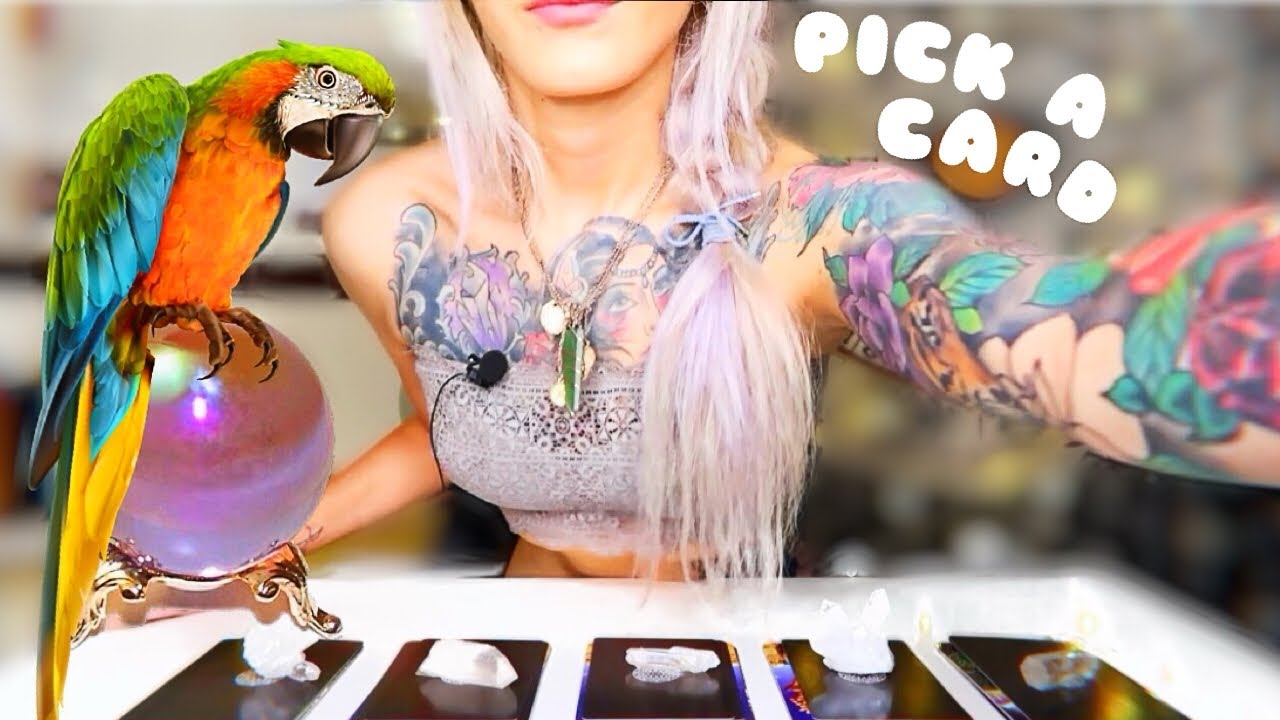Reveal Your Guardian SPIRIT Animal🗝Pick A Card🐾