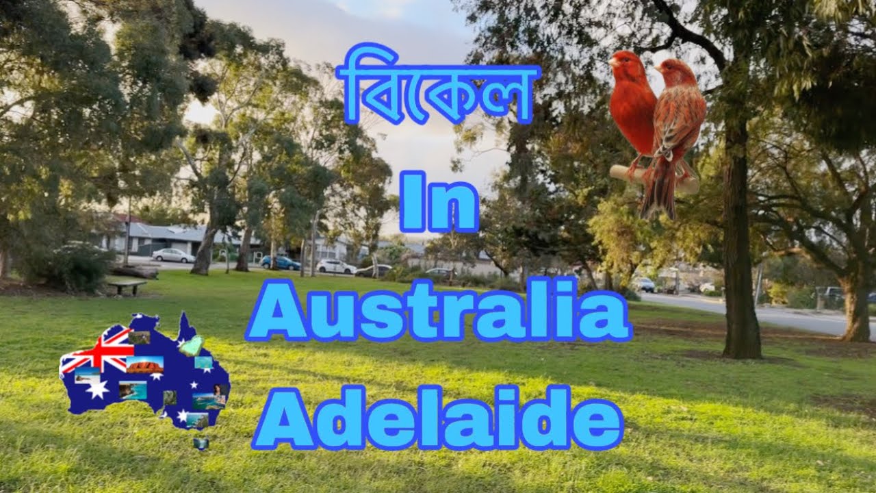 Adelaide Afternoon #adelaide #australia #bdvlog #bangladeshi #viral 
