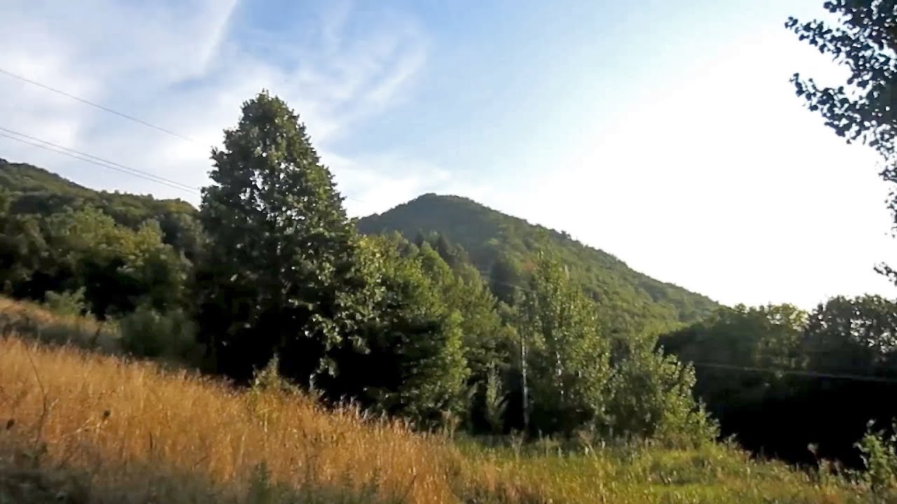 Surdulica - Ćurkovica