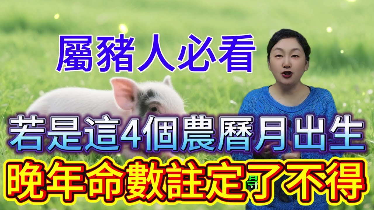 命裏有時終須有，命裏無時莫強求 屬豬人必看！若是這4個農曆月出生，晚年可是 “了不得”！快對照看看你家有嗎？#運勢 #十二属相 #生肖 #星座 #補財庫旺財氣 #財富 #分享