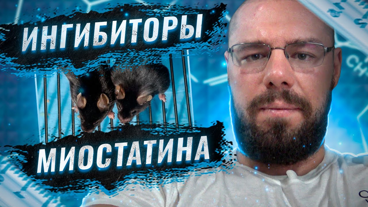 Ингибиторы миостатина &ndash; прорыв в росте мышц или очередной обман | Разбор исследований и препаратов