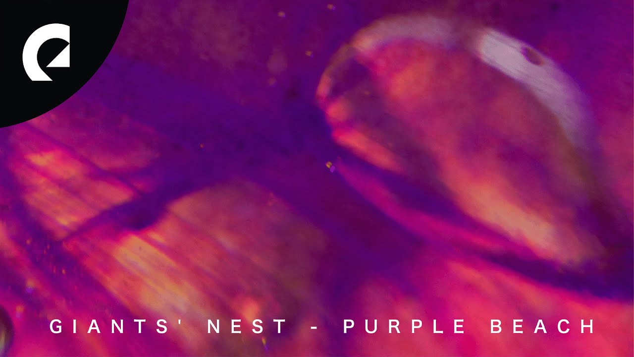 Giants' Nest - Purple Beach (Royalty Free Music)