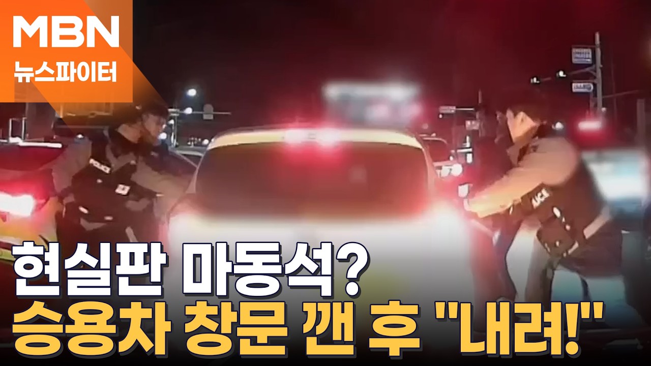 차량 탈취 후 도주…승용차 창문 마구 깨서 용의자 끌어낸 경찰 - 뉴스파이터