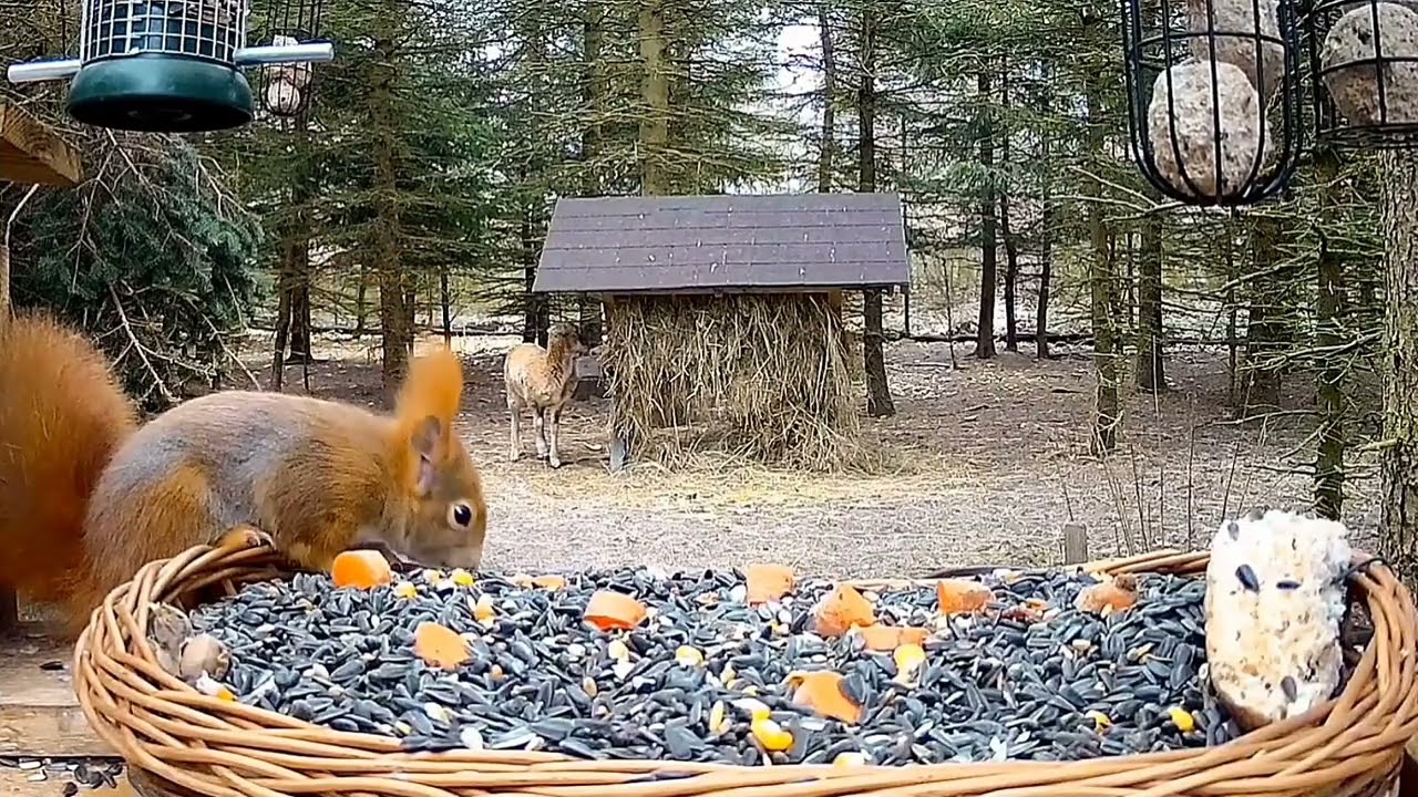 Ráj zvířat Makov